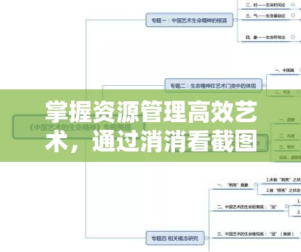 掌握資源管理高效藝術(shù)，通過消消看截圖預(yù)覽實現(xiàn)資源快速瀏覽與管理
