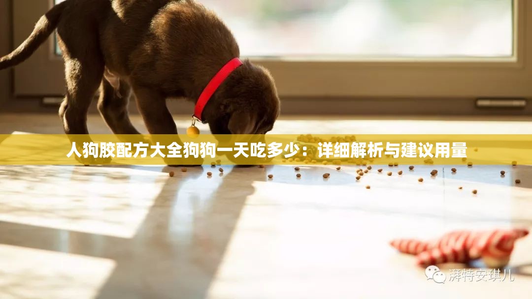 人狗膠配方大全狗狗一天吃多少：詳細(xì)解析與建議用量