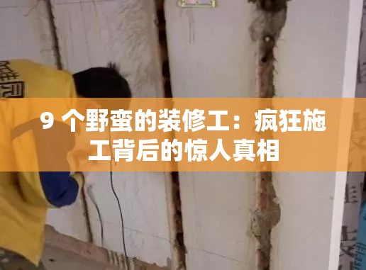 9 個(gè)野蠻的裝修工：瘋狂施工背后的驚人真相