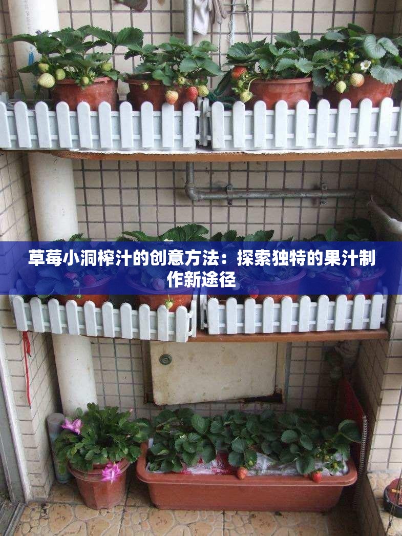 草莓小洞榨汁的創(chuàng)意方法：探索獨(dú)特的果汁制作新途徑