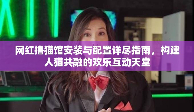 網(wǎng)紅擼貓館安裝與配置詳盡指南，構(gòu)建人貓共融的歡樂互動天堂