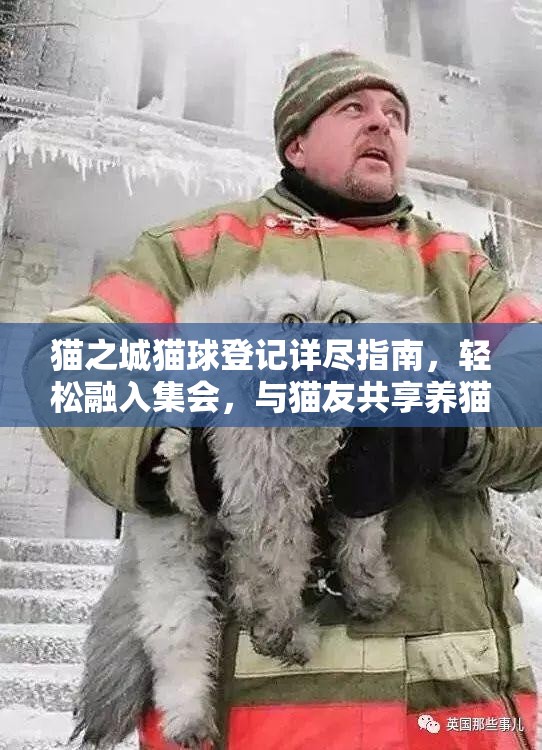 貓之城貓球登記詳盡指南，輕松融入集會(huì)，與貓友共享養(yǎng)貓無限樂趣
