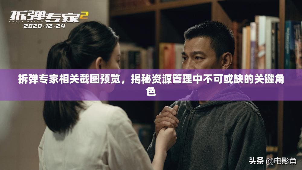 拆彈專家相關(guān)截圖預(yù)覽，揭秘資源管理中不可或缺的關(guān)鍵角色
