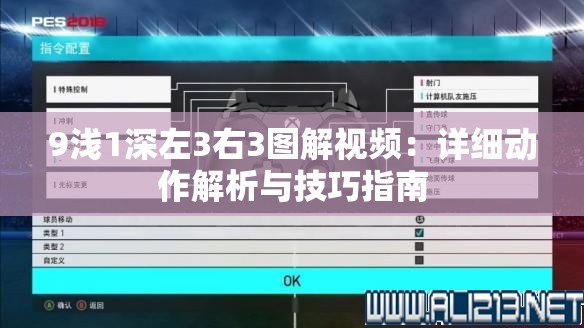 9淺1深左3右3圖解視頻：詳細(xì)動作解析與技巧指南