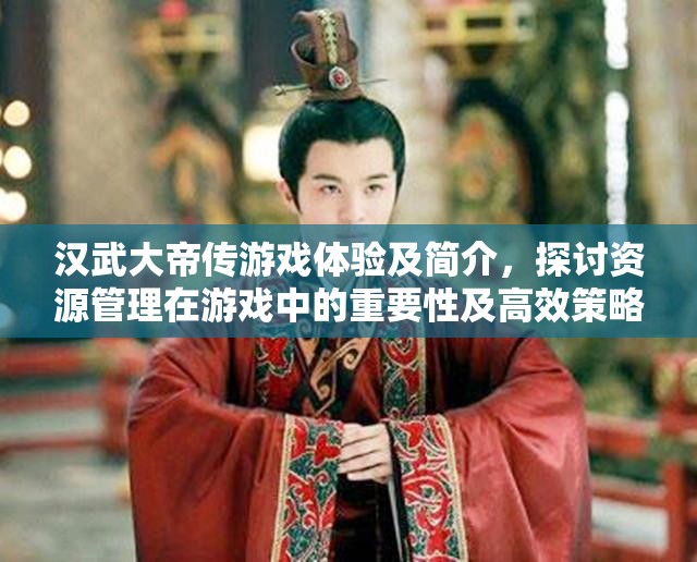 漢武大帝傳游戲體驗(yàn)及簡(jiǎn)介，探討資源管理在游戲中的重要性及高效策略