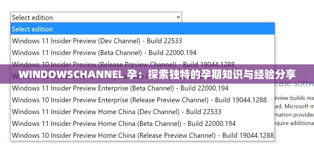 WINDOWSCHANNEL 孕：探索獨(dú)特的孕期知識(shí)與經(jīng)驗(yàn)分享