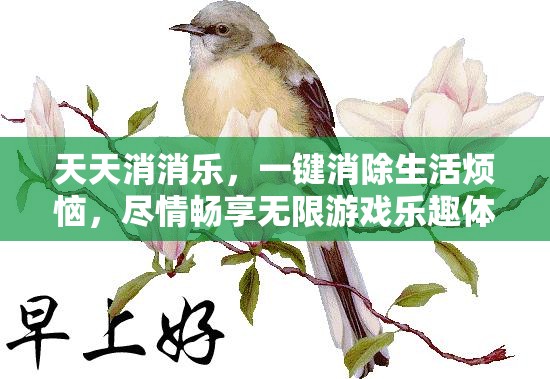 天天消消樂，一鍵消除生活煩惱，盡情暢享無限游戲樂趣體驗