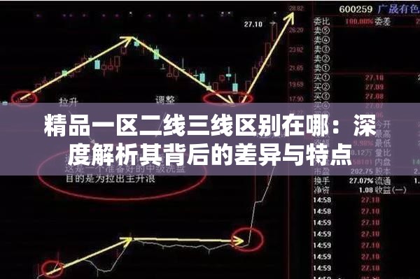 精品一區(qū)二線三線區(qū)別在哪：深度解析其背后的差異與特點