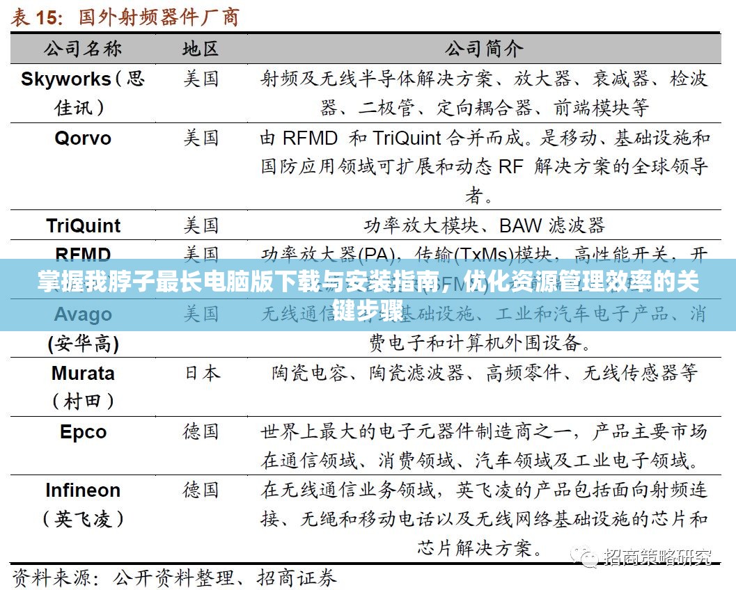 掌握我脖子最長電腦版下載與安裝指南，優(yōu)化資源管理效率的關鍵步驟