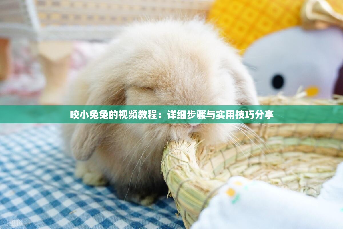 咬小兔兔的視頻教程：詳細(xì)步驟與實(shí)用技巧分享