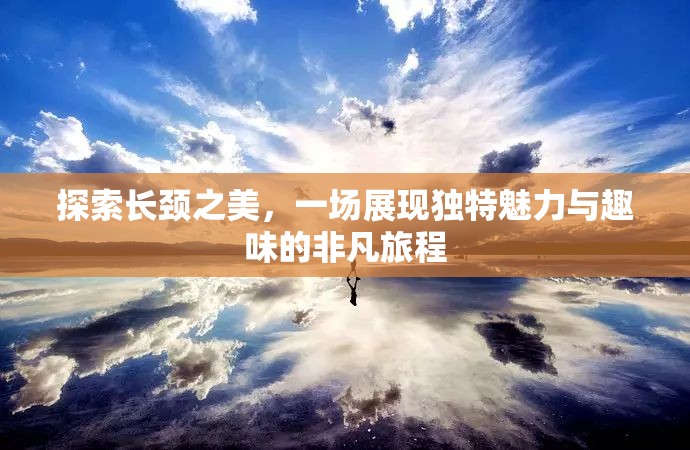 探索長(zhǎng)頸之美，一場(chǎng)展現(xiàn)獨(dú)特魅力與趣味的非凡旅程