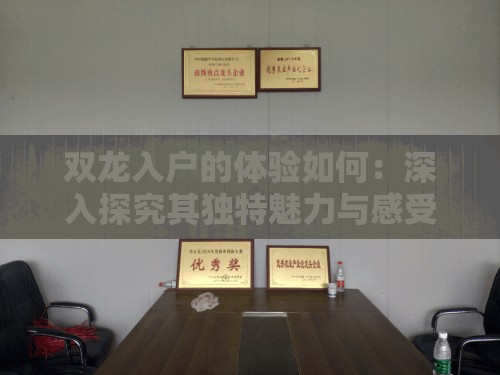 雙龍入戶的體驗如何：深入探究其獨特魅力與感受