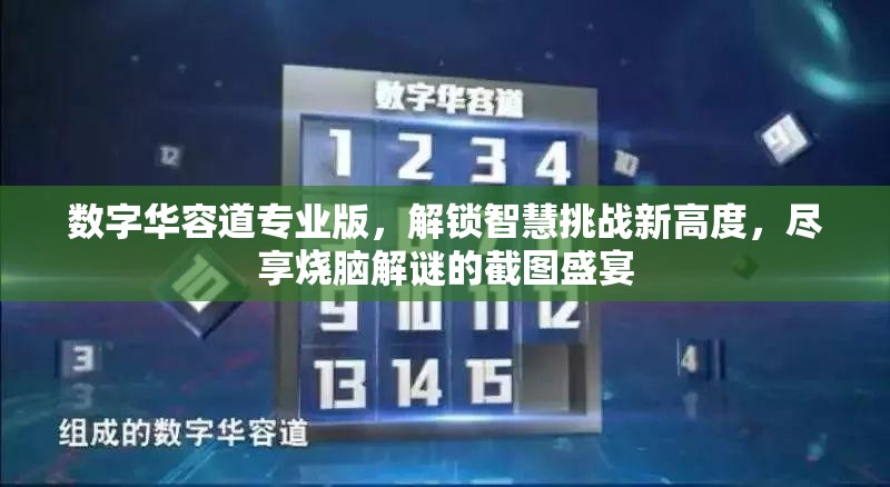 數(shù)字華容道專業(yè)版，解鎖智慧挑戰(zhàn)新高度，盡享燒腦解謎的截圖盛宴