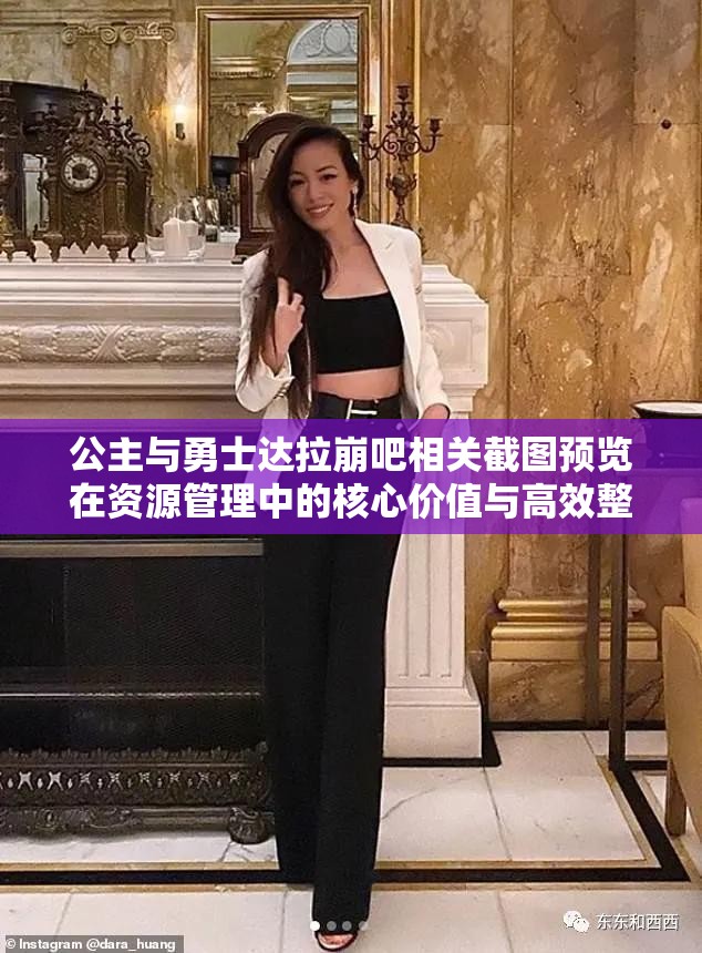 公主與勇士達(dá)拉崩吧相關(guān)截圖預(yù)覽在資源管理中的核心價(jià)值與高效整合利用策略