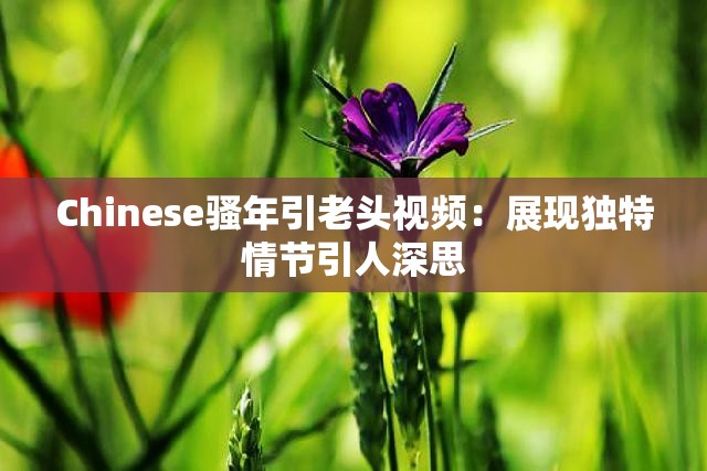 Chinese騷年引老頭視頻：展現(xiàn)獨特情節(jié)引人深思