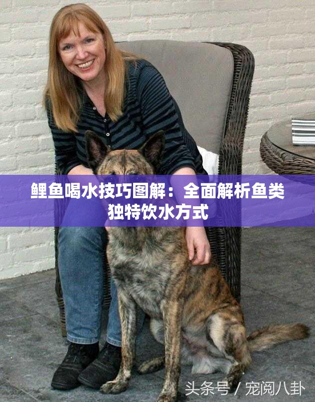 鯉魚喝水技巧圖解：全面解析魚類獨(dú)特飲水方式