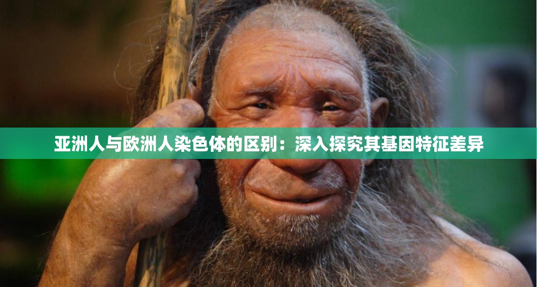 亞洲人與歐洲人染色體的區(qū)別：深入探究其基因特征差異