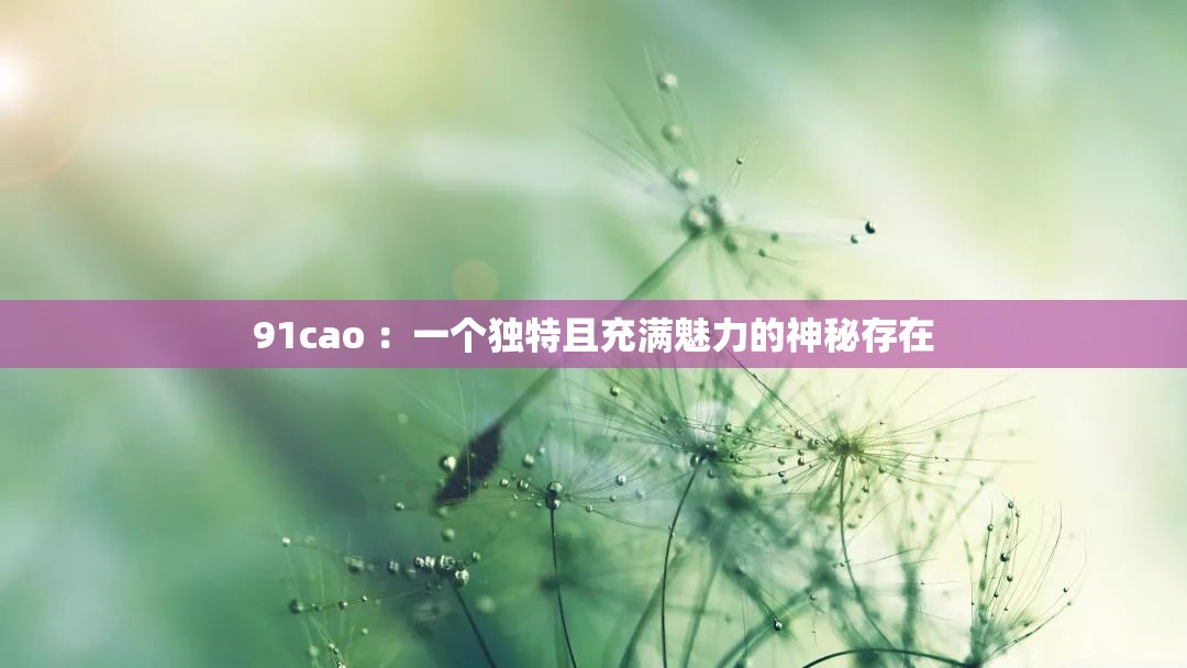 91cao ：一個獨特且充滿魅力的神秘存在