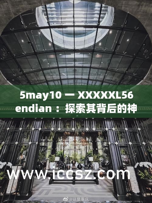5may10 一 XXXXXL56endian ：探索其背后的神秘意義與價(jià)值