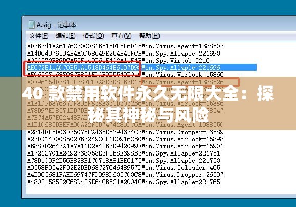 40 款禁用軟件永久無限大全：探秘其神秘與風(fēng)險(xiǎn)