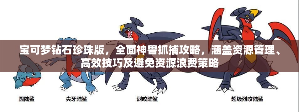 寶可夢鉆石珍珠版，全面神獸抓捕攻略，涵蓋資源管理、高效技巧及避免資源浪費策略