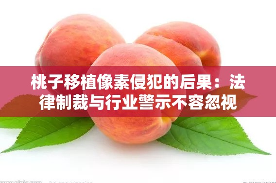 桃子移植像素侵犯的后果：法律制裁與行業(yè)警示不容忽視