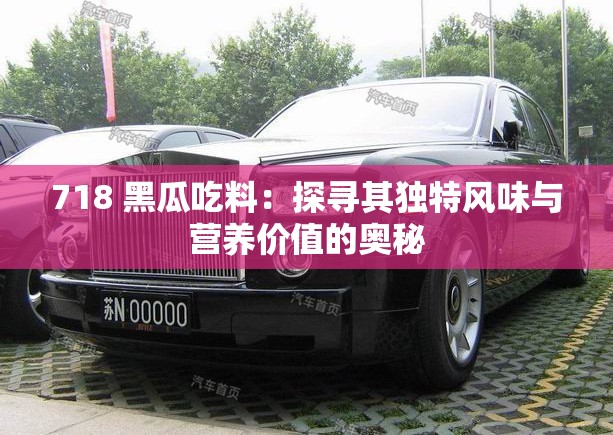 718 黑瓜吃料：探尋其獨(dú)特風(fēng)味與營(yíng)養(yǎng)價(jià)值的奧秘