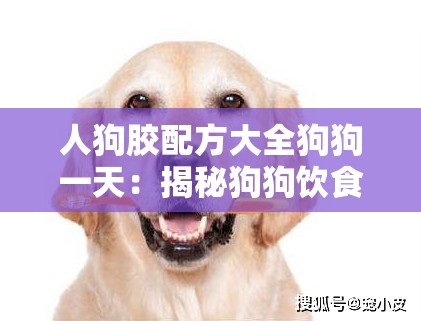 人狗膠配方大全狗狗一天：揭秘狗狗飲食的神秘配方