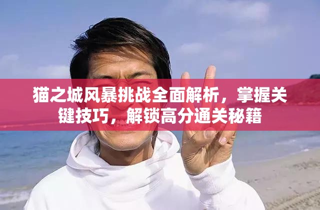 貓之城風(fēng)暴挑戰(zhàn)全面解析，掌握關(guān)鍵技巧，解鎖高分通關(guān)秘籍