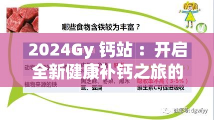 2024Gy 鈣站 ：開(kāi)啟全新健康補(bǔ)鈣之旅的先鋒站點(diǎn)