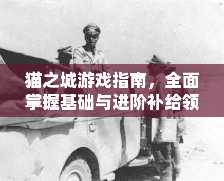 貓之城游戲指南，全面掌握基礎(chǔ)與進(jìn)階補(bǔ)給領(lǐng)取的詳細(xì)攻略