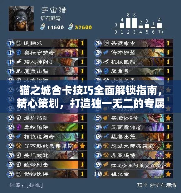 貓之城合卡技巧全面解鎖指南，精心策劃，打造獨一無二的專屬戰(zhàn)斗策略