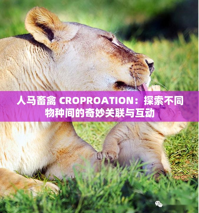 人馬畜禽 CROPROATION：探索不同物種間的奇妙關(guān)聯(lián)與互動