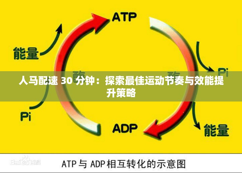 人馬配速 30 分鐘：探索最佳運動節(jié)奏與效能提升策略