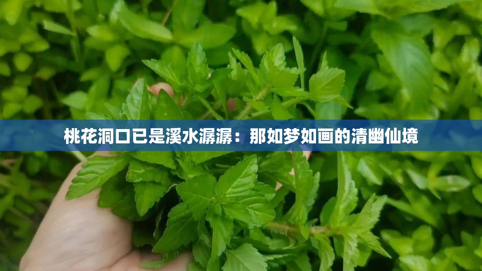 桃花洞口已是溪水潺潺：那如夢如畫的清幽仙境