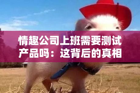 情趣公司上班需要測(cè)試產(chǎn)品嗎：這背后的真相與挑戰(zhàn)