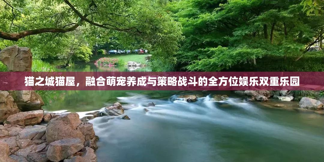 貓之城貓屋，融合萌寵養(yǎng)成與策略戰(zhàn)斗的全方位娛樂雙重樂園