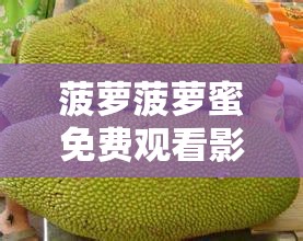 菠蘿菠蘿蜜免費(fèi)觀看影視：暢享海量精彩影視作品