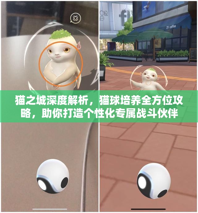 貓之城深度解析，貓球培養(yǎng)全方位攻略，助你打造個(gè)性化專屬戰(zhàn)斗伙伴