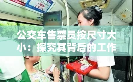 公交車售票員按尺寸大小：探究其背后的工作標(biāo)準(zhǔn)與規(guī)范