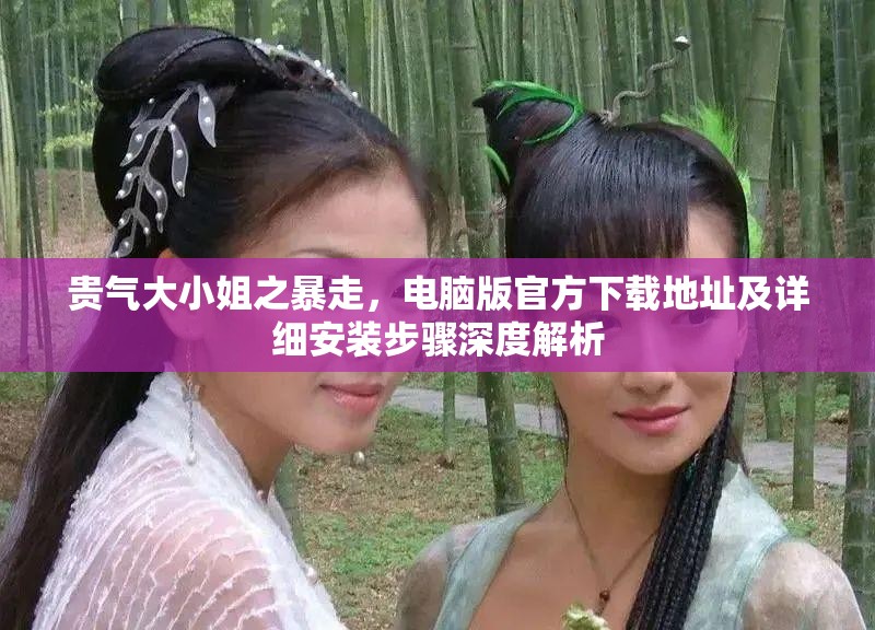貴氣大小姐之暴走，電腦版官方下載地址及詳細(xì)安裝步驟深度解析