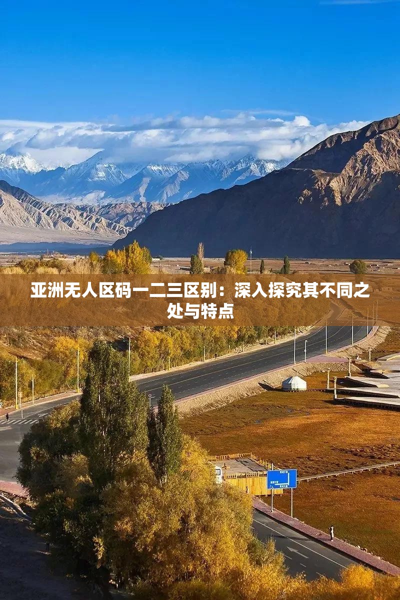 亞洲無(wú)人區(qū)碼一二三區(qū)別：深入探究其不同之處與特點(diǎn)