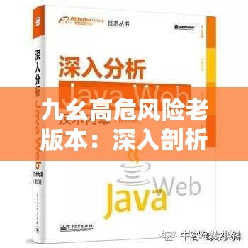 九幺高危風(fēng)險老版本：深入剖析其潛在危害與應(yīng)對策略
