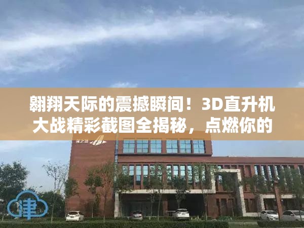 翱翔天際的震撼瞬間！3D直升機大戰(zhàn)精彩截圖全揭秘，點燃你的戰(zhàn)斗激情與熱血