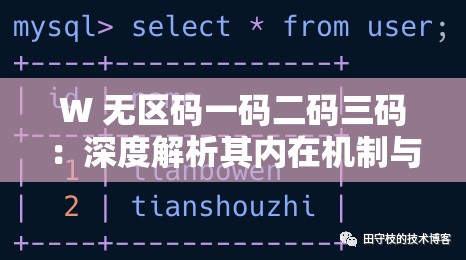 W 無區(qū)碼一碼二碼三碼：深度解析其內(nèi)在機制與應(yīng)用場景