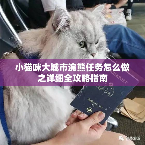 小貓咪大城市浣熊任務(wù)怎么做之詳細(xì)全攻略指南