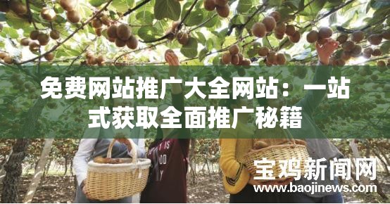 免費(fèi)網(wǎng)站推廣大全網(wǎng)站：一站式獲取全面推廣秘籍