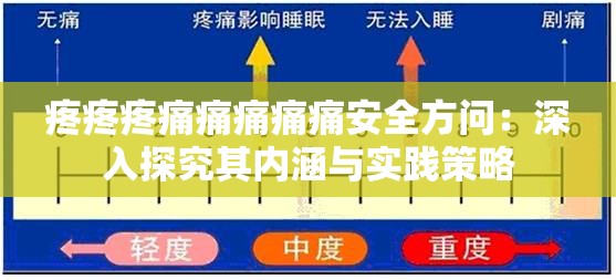 疼疼疼痛痛痛痛痛安全方問：深入探究其內(nèi)涵與實(shí)踐策略