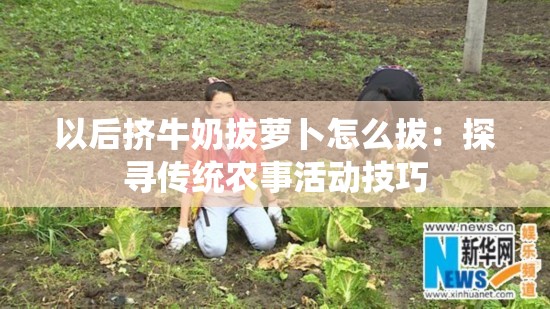 以后擠牛奶拔蘿卜怎么拔：探尋傳統(tǒng)農(nóng)事活動技巧