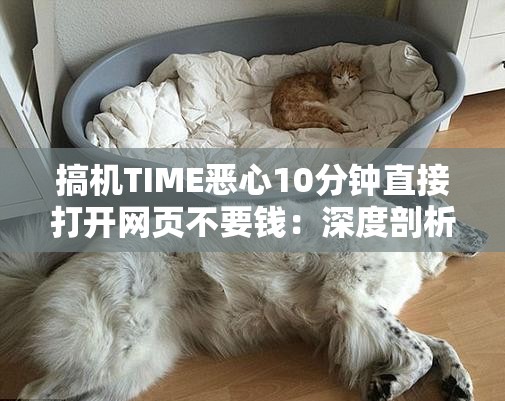搞機(jī)TIME惡心10分鐘直接打開網(wǎng)頁不要錢：深度剖析其背后的貓膩
